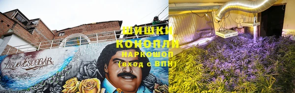 каннабис Магас