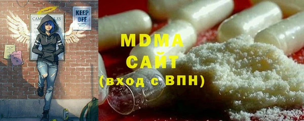 прущие грибы Лабытнанги