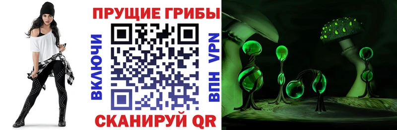 Псилоцибиновые грибы ЛСД  Чапаевск 