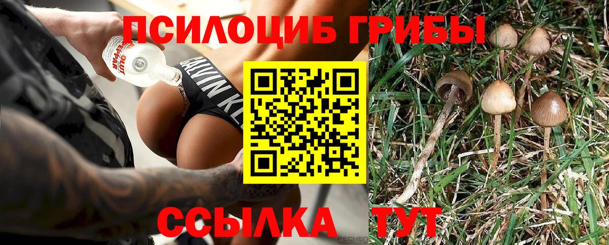 Псилоцибиновые грибы Cubensis Чапаевск