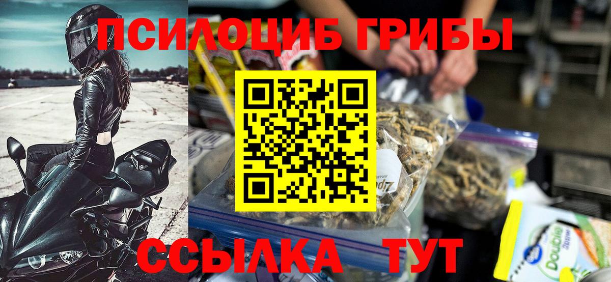 Псилоцибиновые грибы Psilocybine cubensis  где купить наркотик  Галлюциногенные грибы Cubensis  Чапаевск 