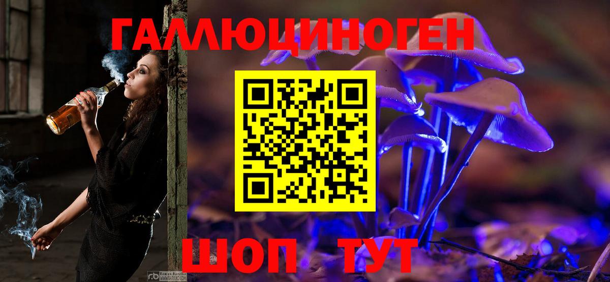 Галлюциногенные грибы Cubensis  Вход с VPN  Чапаевск 